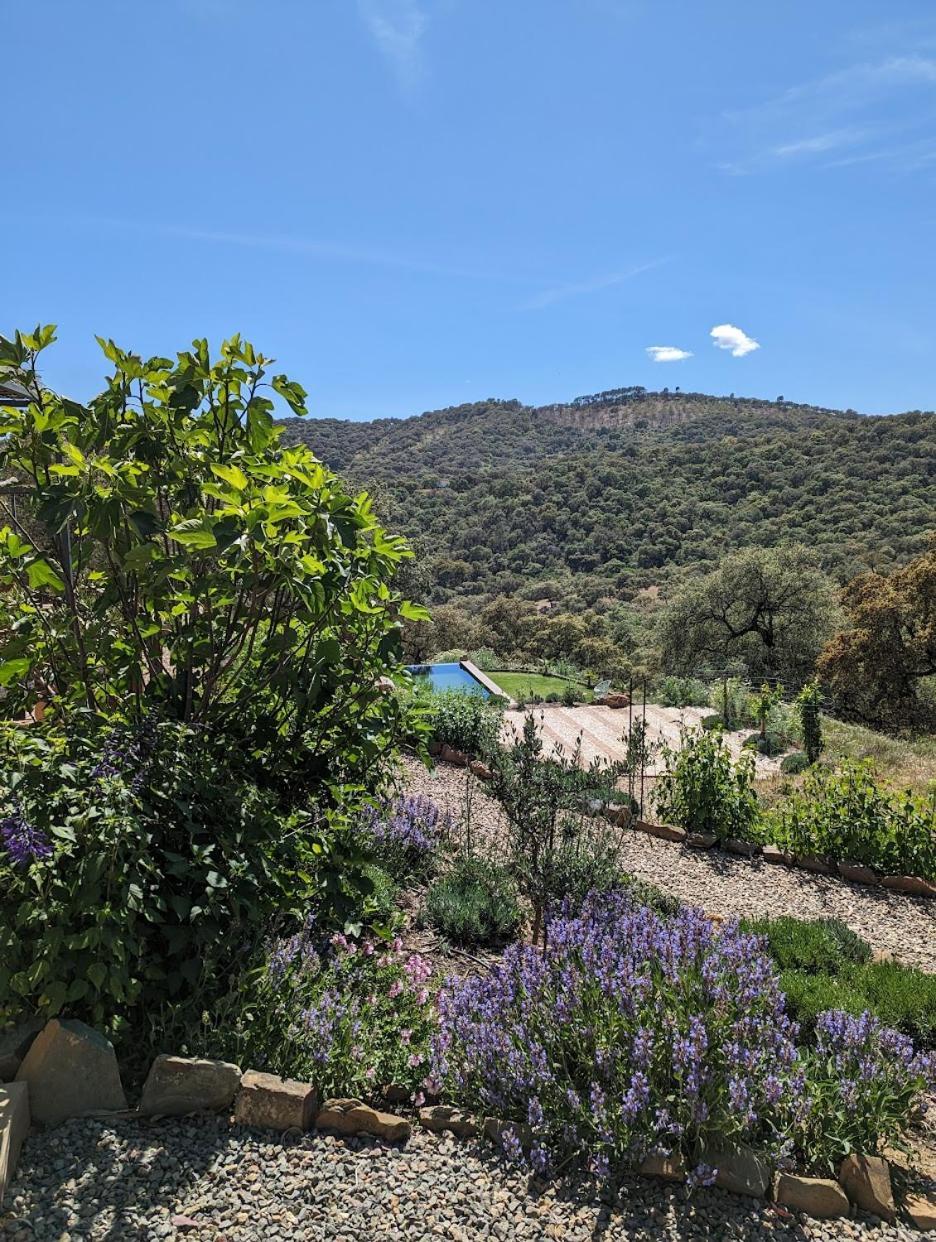 Finca Bravo Кортегана Екстериор снимка