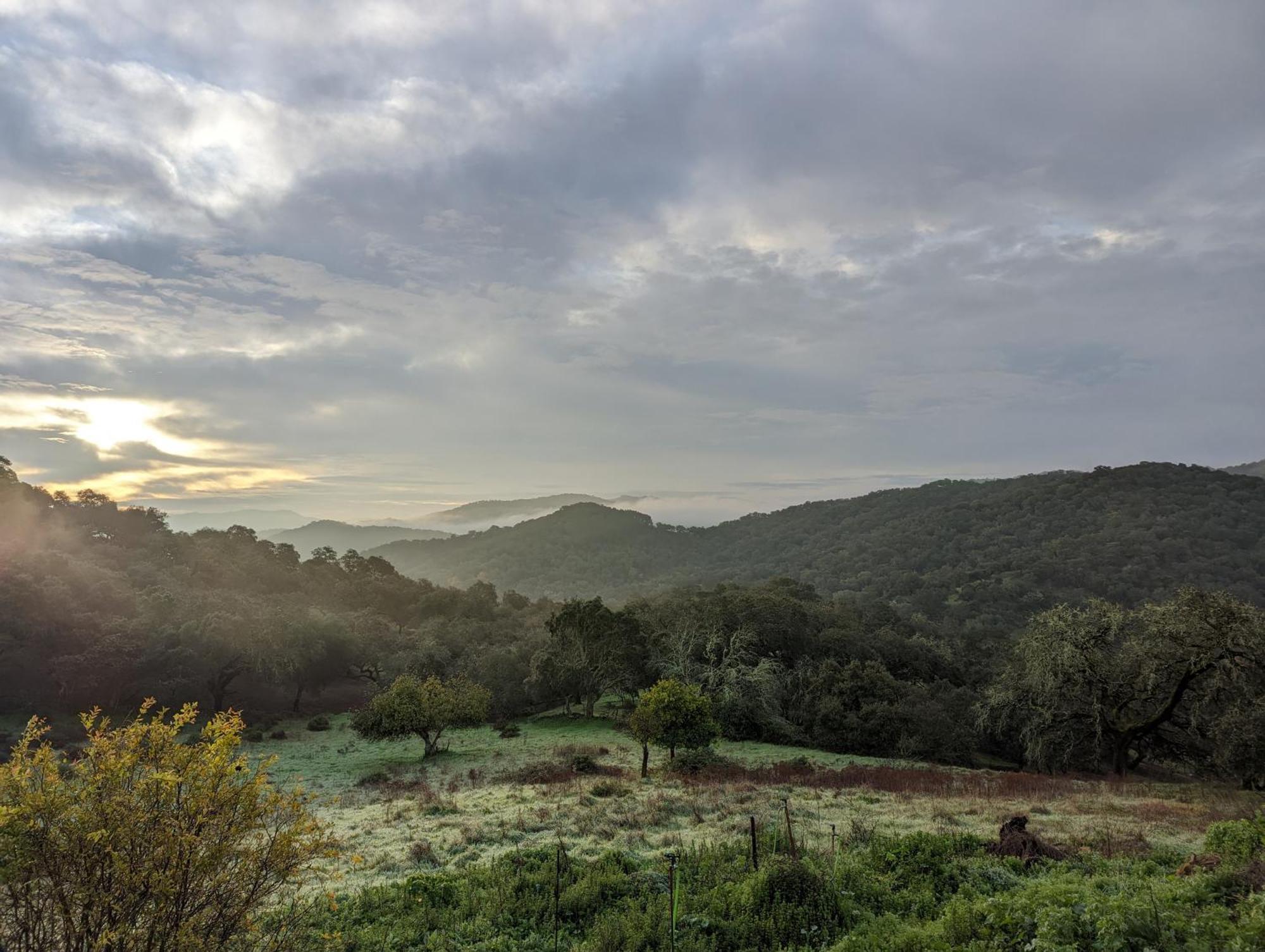 Finca Bravo Кортегана Екстериор снимка