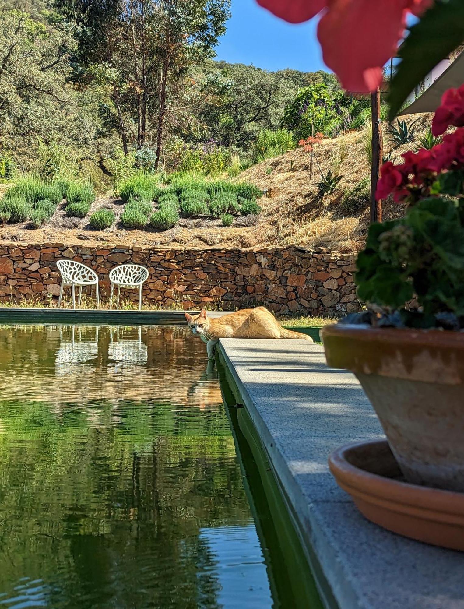 Finca Bravo Кортегана Екстериор снимка