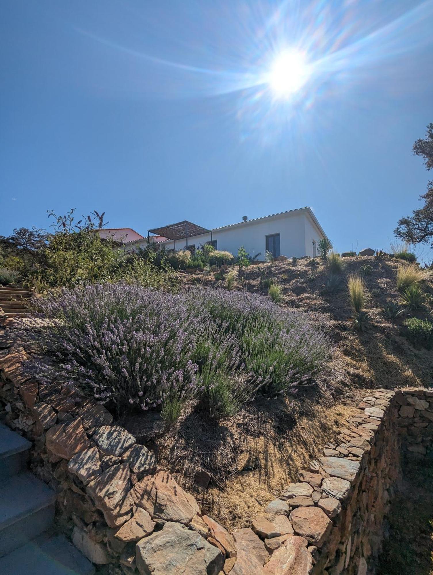 Finca Bravo Кортегана Екстериор снимка